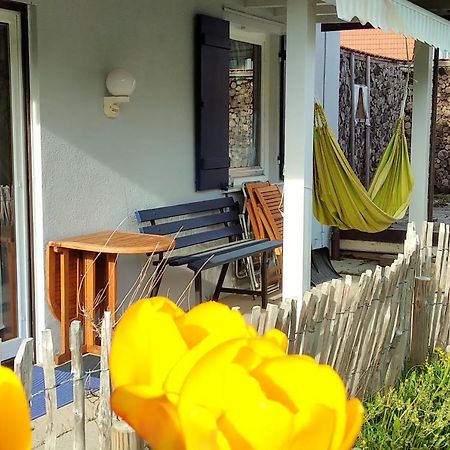 Ferienwohnung Schuhmacherwerkstatt Wilhelm Wendel Lossburg Exterior foto